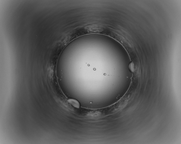 X0000116680271200912211629