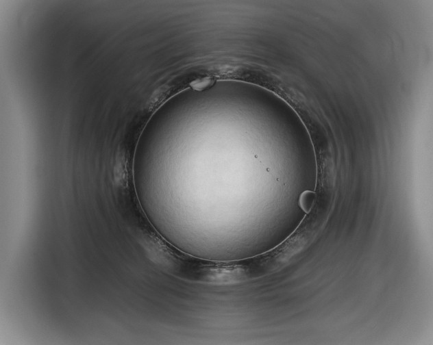 X0000116680274200912211630