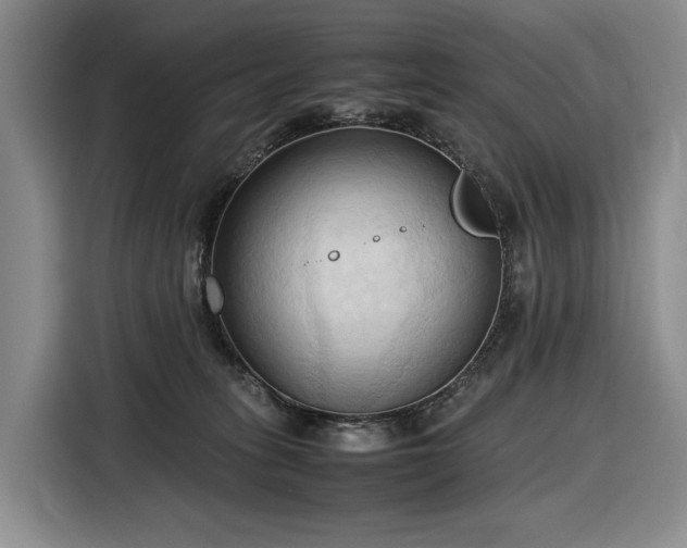 X0000116680275200912211630