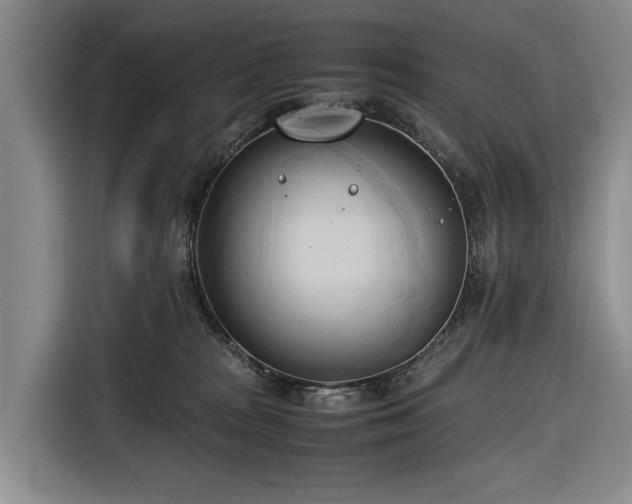 X0000116680277200912211630