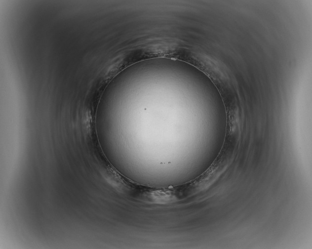 X0000116680279200912211630