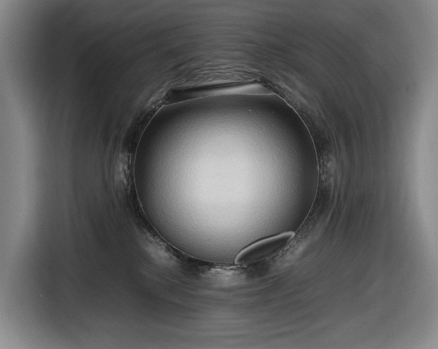 X0000116680280200912211630