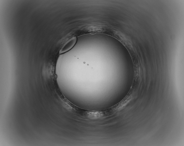 X0000116680281200912211630