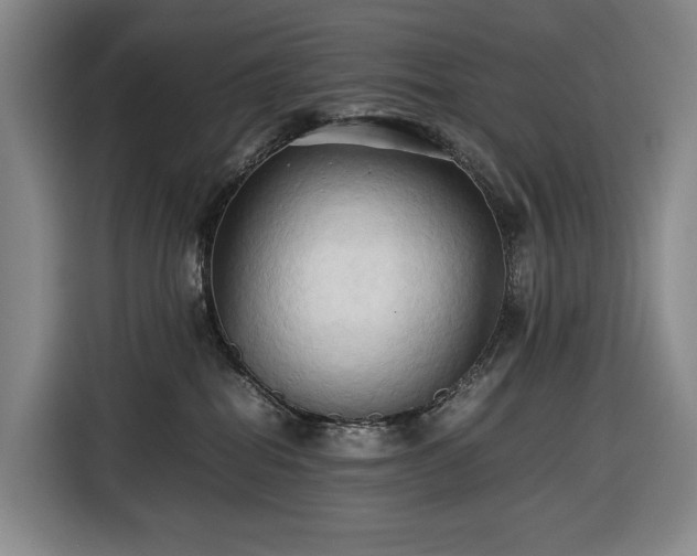 X0000116680282200912211630