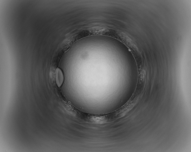 X0000116680283200912211630