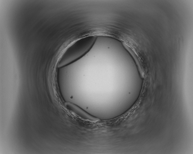 X0000116680289200912211629