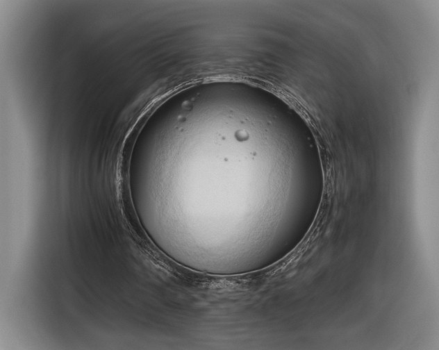 X0000116680290200912211629