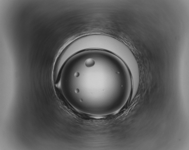 X0000116680292200912211629