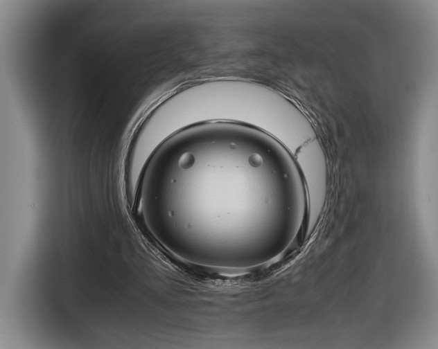 X0000116680293200912211629