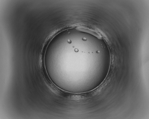 X0000116680298200912211629