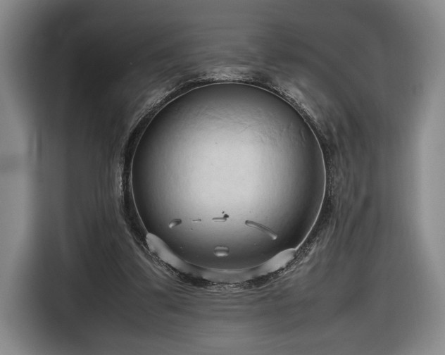 X0000116680299200912211629