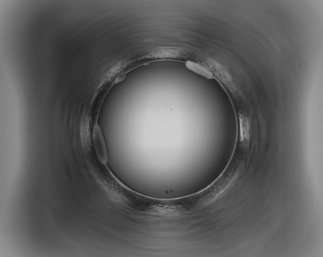 X0000116680300200912211629