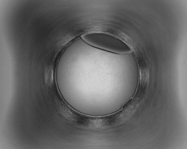 X0000116680301200912211629