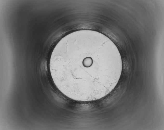 X0000116680302200912211629