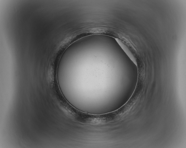 X0000116680303200912211629