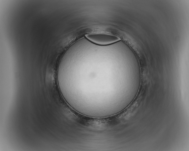 X0000116680305200912211629