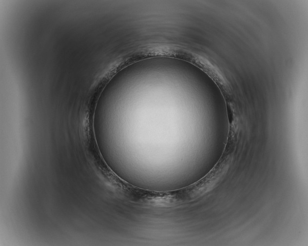 X0000116680306200912211629