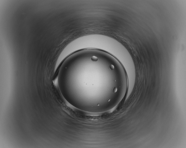 X0000116680308200912211629