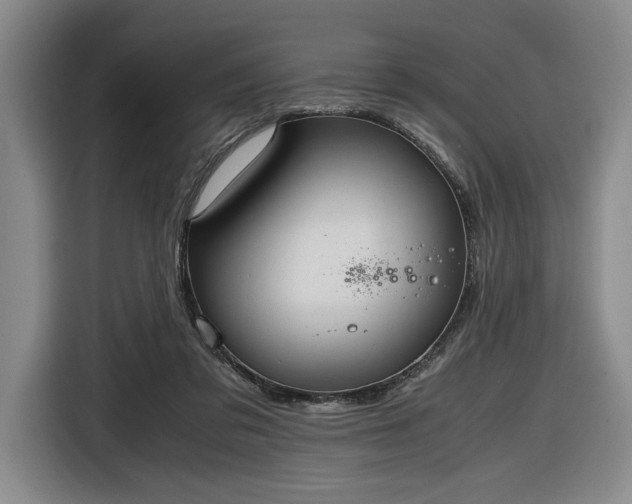 X0000116680309200912211629