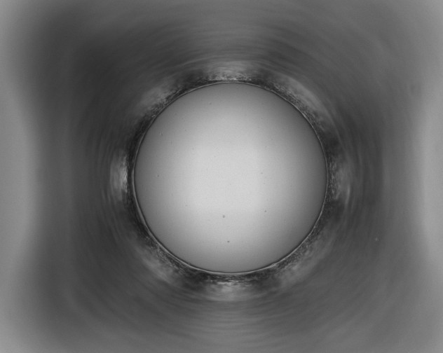 X0000116680310200912211629