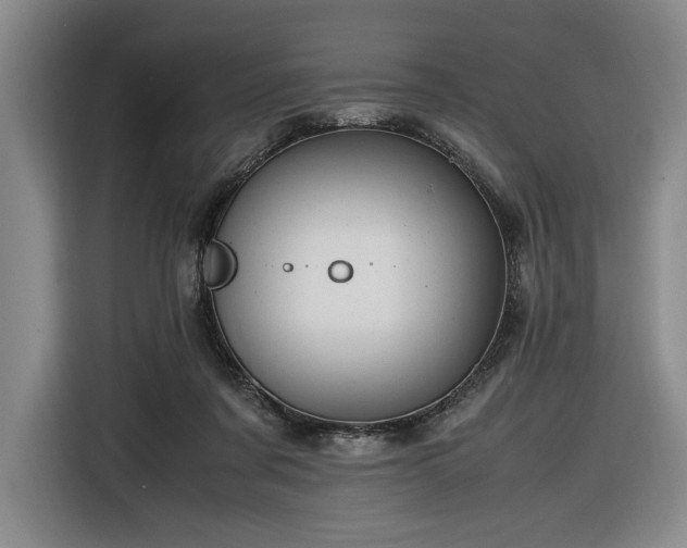 X0000116680311200912211629