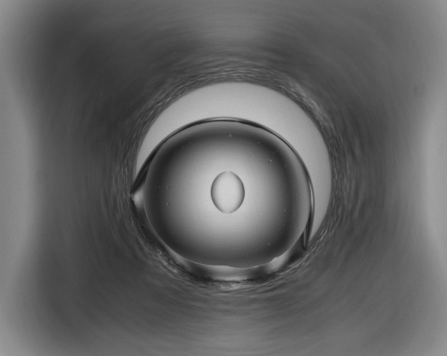 X0000116680313200912211629