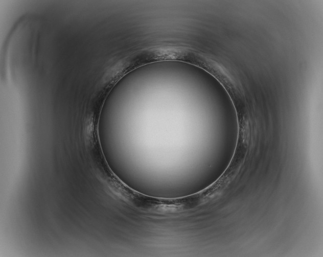 X0000116680314200912211629