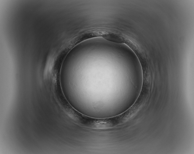 X0000116680315200912211629