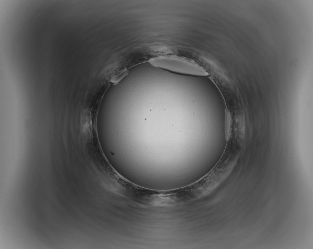 X0000116680320200912211629