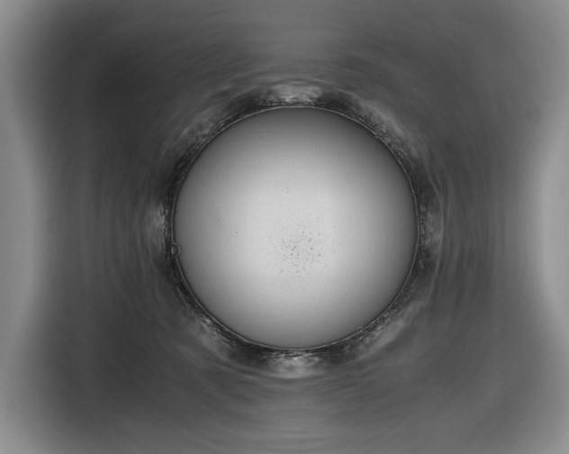 X0000116680321200912211629