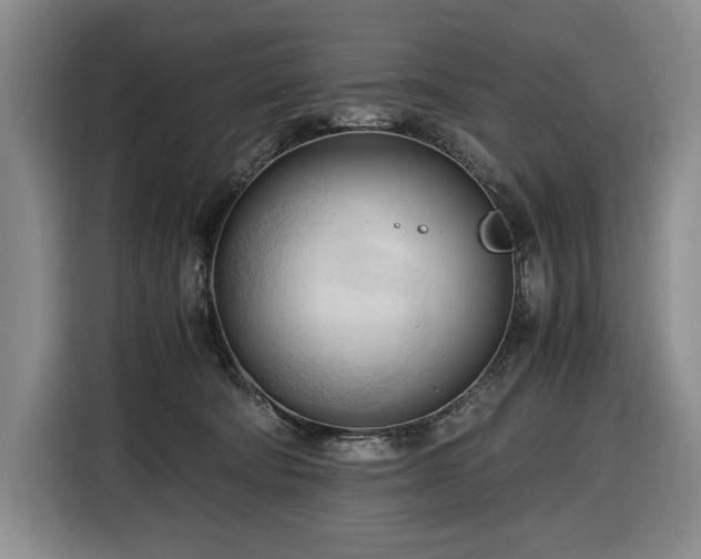 X0000116680322200912211629