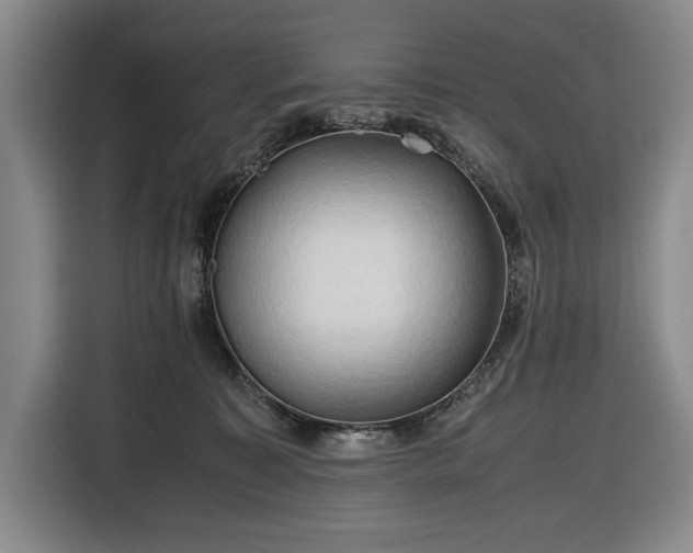 X0000116680323200912211629