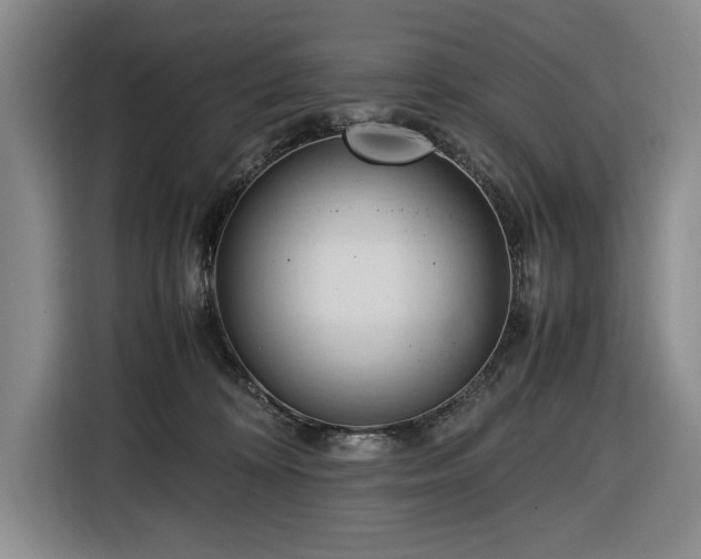 X0000116680324200912211629