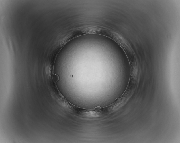 X0000116680326200912211629