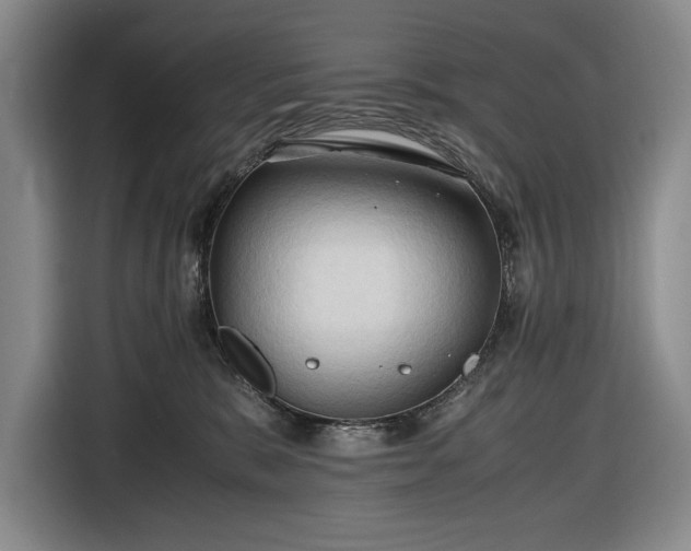 X0000116680327200912211629