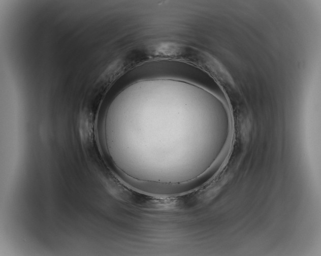 X0000116680328200912211629