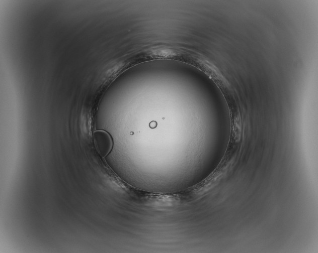 X0000116680330200912211629