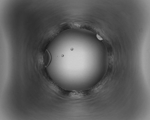 X0000116680331200912211629