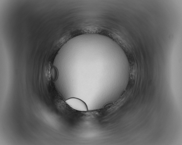 X0000116680334200912211629