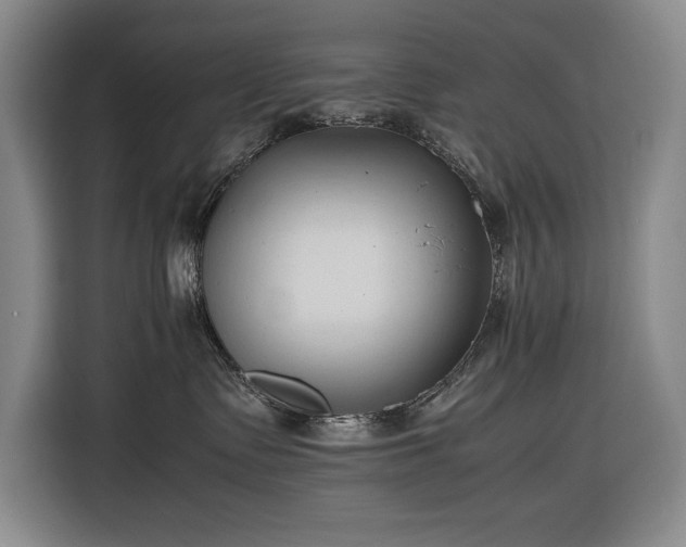 X0000116680335200912211628