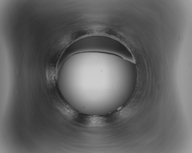 X0000116680336200912211628