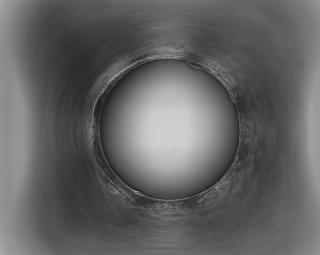 X0000116680338200912211628