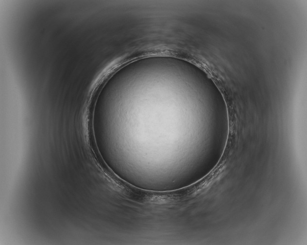 X0000116680341200912211628