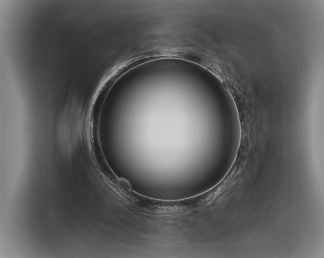 X0000116680342200912211628