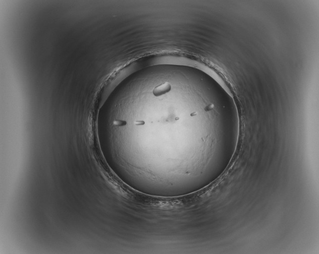 X0000116680345200912211628