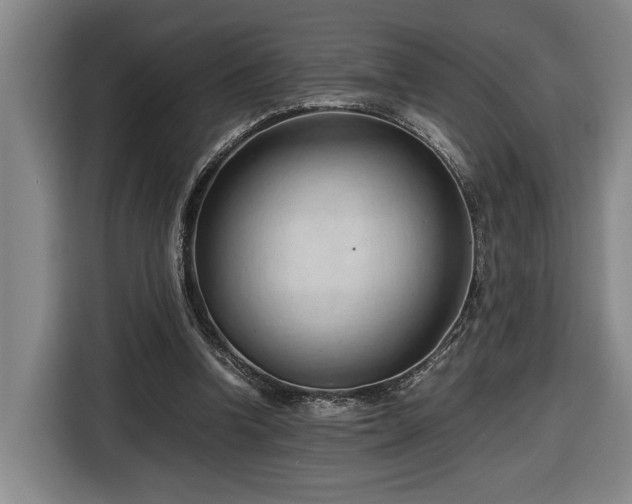 X0000116680346200912211628