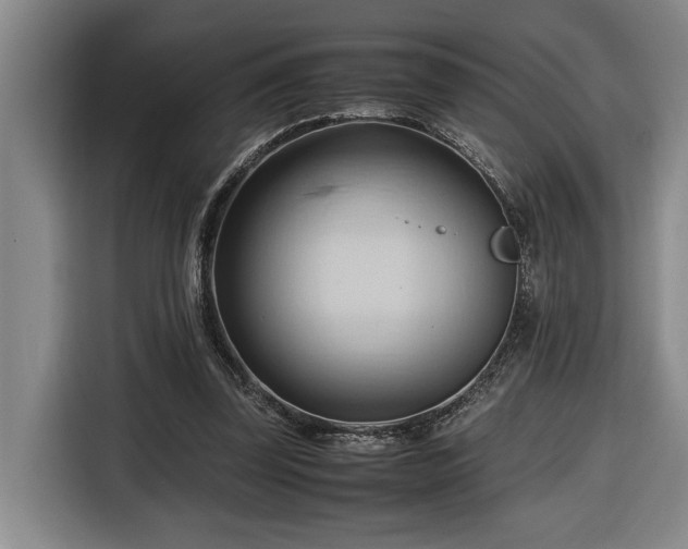 X0000116680347200912211628