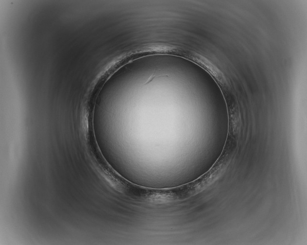 X0000116680350200912211628