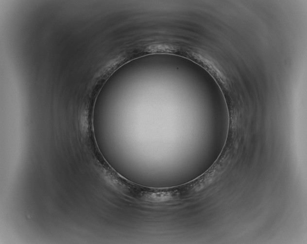 X0000116680353200912211628