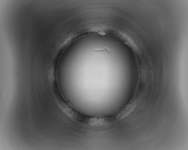 X0000116680354200912211628